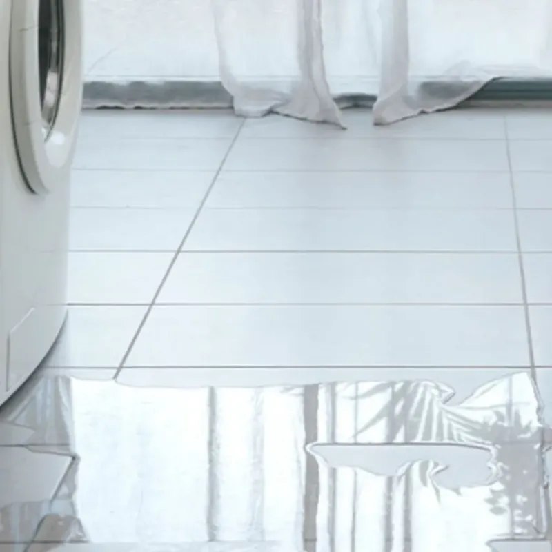 Appliance Leak Cleanup in Libertyville, IL