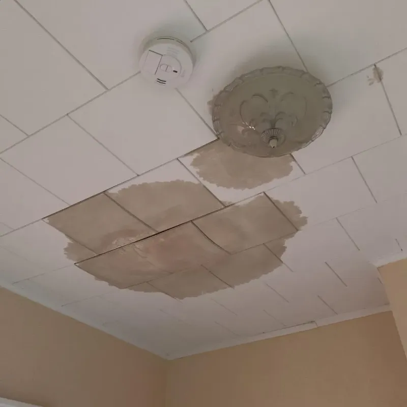 Ceiling Water Damage Repair in Libertyville, IL