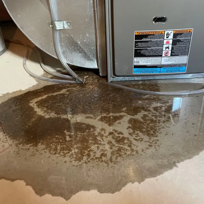 Pipe Burst and Leak Restoration in Libertyville, IL