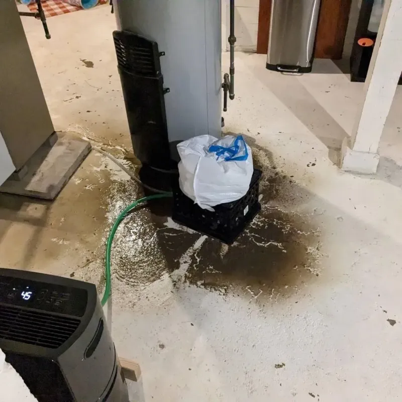 Sewage Backup Cleanup Service in Libertyville, IL